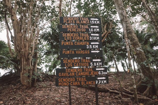 Trails im Cahuita Nationalpark